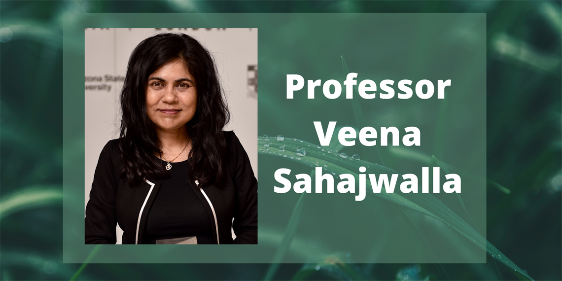 Professor Veena Sahajwalla – Waste and Circular Economies